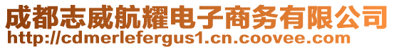 成都志威航耀電子商務有限公司