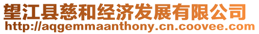 望江縣慈和經濟發展有限公司
