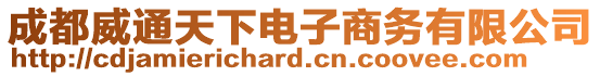 成都威通天下電子商務有限公司