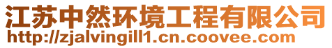 江蘇中然環(huán)境工程有限公司