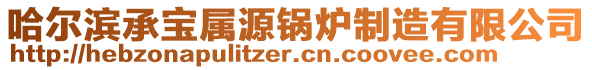 哈爾濱承寶屬源鍋爐制造有限公司