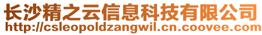 長沙精之云信息科技有限公司