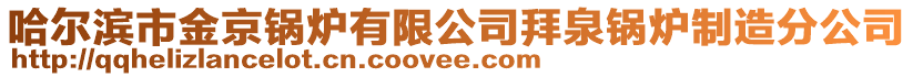 哈爾濱市金京鍋爐有限公司拜泉鍋爐制造分公司