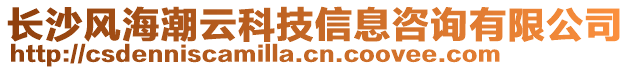 長沙風海潮云科技信息咨詢有限公司