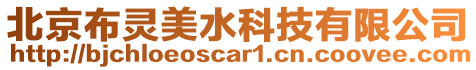 北京布靈美水科技有限公司