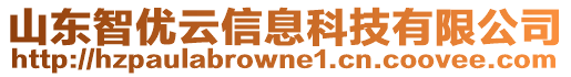 山東智優(yōu)云信息科技有限公司