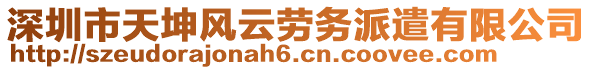 深圳市天坤風(fēng)云勞務(wù)派遣有限公司