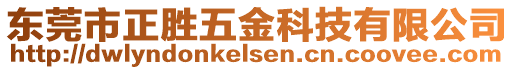 東莞市正勝五金科技有限公司