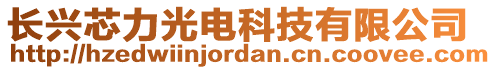 長興芯力光電科技有限公司