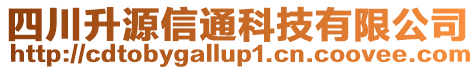 四川升源信通科技有限公司