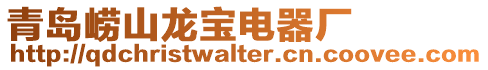 青島嶗山龍寶電器廠