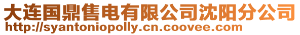大連國鼎售電有限公司沈陽分公司