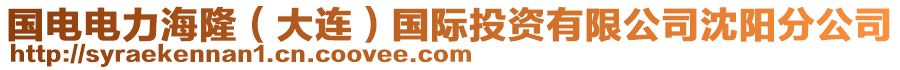 國電電力海?。ù筮B）國際投資有限公司沈陽分公司