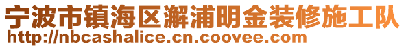 寧波市鎮(zhèn)海區(qū)澥浦明金裝修施工隊(duì)