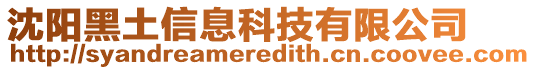 沈陽黑土信息科技有限公司