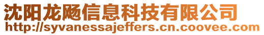 沈陽龍飏信息科技有限公司