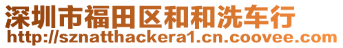 深圳市福田區(qū)和和洗車行