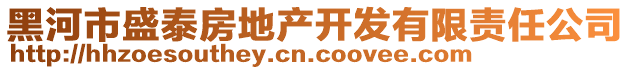 黑河市盛泰房地產開發(fā)有限責任公司