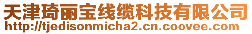 天津琦麗寶線纜科技有限公司