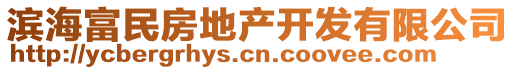 濱海富民房地產(chǎn)開發(fā)有限公司