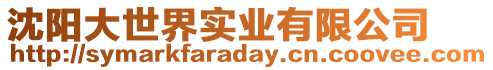 沈陽大世界實業有限公司