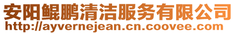 安陽鯤鵬清潔服務有限公司