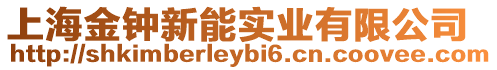 上海金鐘新能實業有限公司