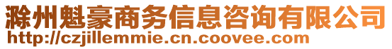 滁州魁豪商務(wù)信息咨詢有限公司