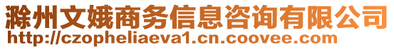 滁州文娥商務(wù)信息咨詢有限公司