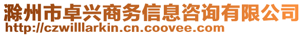 滁州市卓興商務信息咨詢有限公司