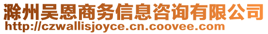 滁州吳恩商務(wù)信息咨詢有限公司