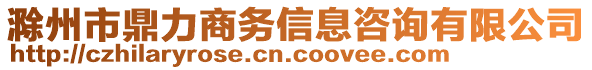 滁州市鼎力商務(wù)信息咨詢有限公司