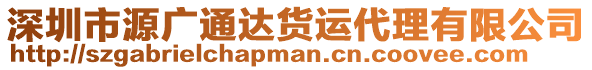 深圳市源廣通達(dá)貨運(yùn)代理有限公司