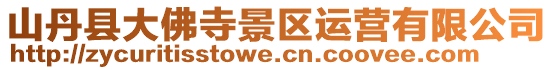 山丹縣大佛寺景區(qū)運(yùn)營有限公司