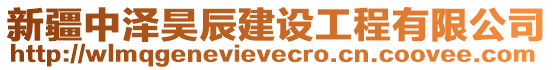 新疆中澤昊辰建設工程有限公司