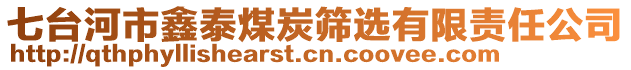 七臺河市鑫泰煤炭篩選有限責任公司