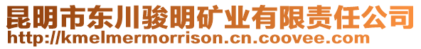 昆明市東川駿明礦業(yè)有限責(zé)任公司