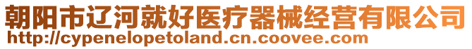 朝陽市遼河就好醫(yī)療器械經(jīng)營有限公司