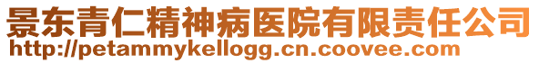 景東青仁精神病醫(yī)院有限責任公司