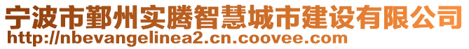 寧波市鄞州實騰智慧城市建設有限公司