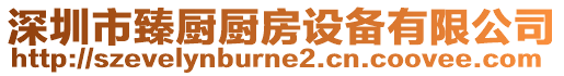 深圳市臻廚廚房設(shè)備有限公司