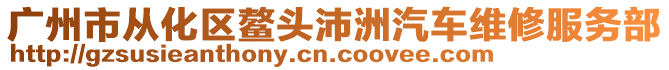 廣州市從化區(qū)鰲頭沛洲汽車維修服務(wù)部