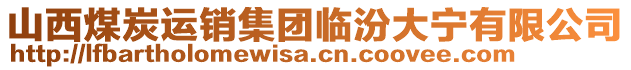 山西煤炭运销集团临汾大宁有限公司