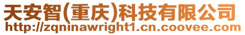 天安智(重慶)科技有限公司