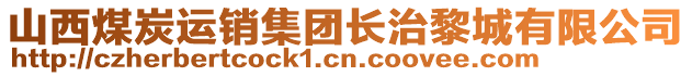 山西煤炭運銷集團長治黎城有限公司