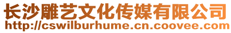 長沙雕藝文化傳媒有限公司