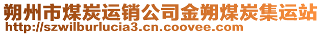 朔州市煤炭運(yùn)銷公司金朔煤炭集運(yùn)站