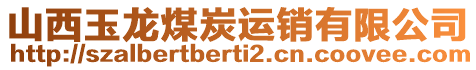 山西玉龍煤炭運銷有限公司