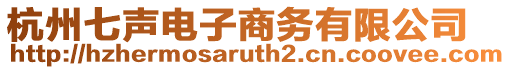 杭州七聲電子商務有限公司