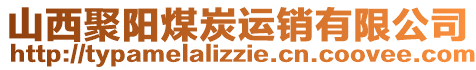山西聚陽煤炭運銷有限公司